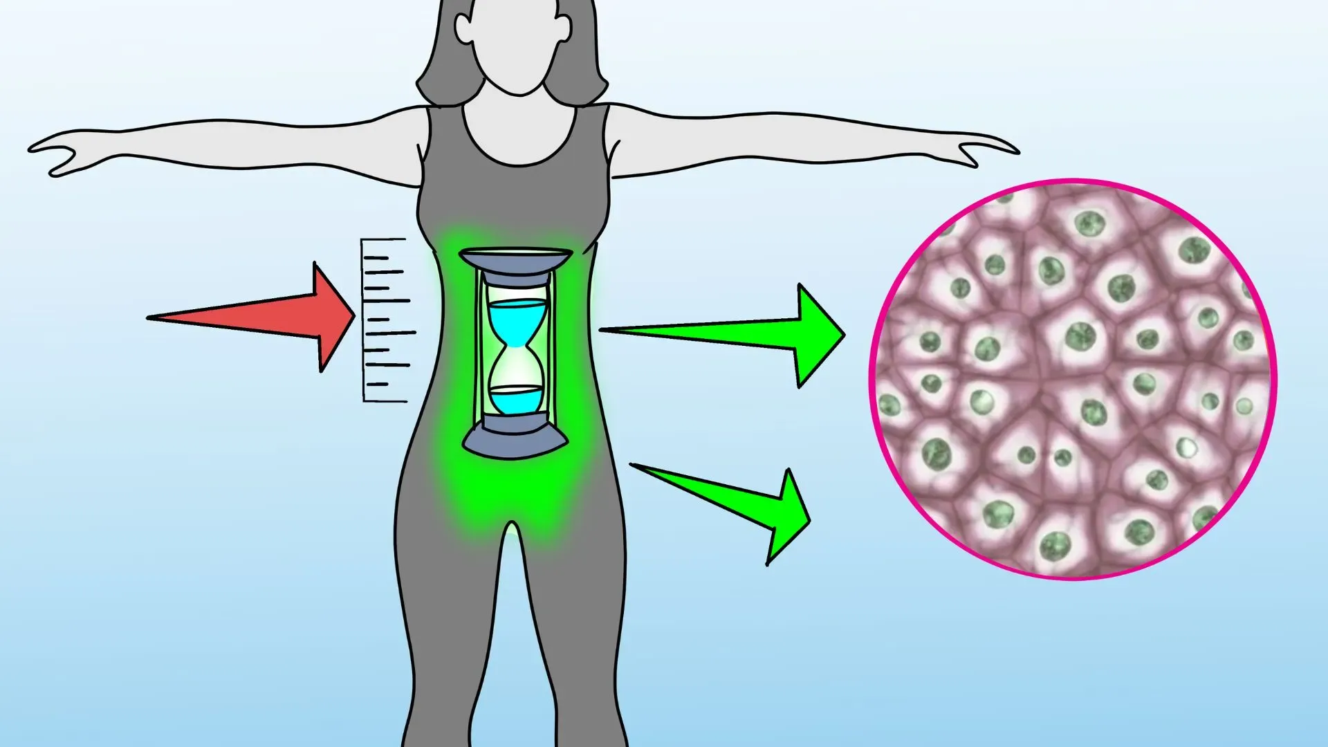Okinawa Gelatin Method